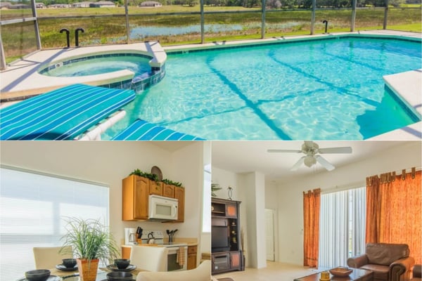 Screened pool with spa overlooking wetlands, plus kitchen and living room with leather furniture